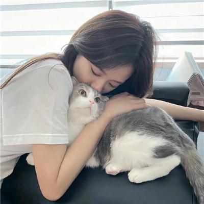 王牌总裁霸王花